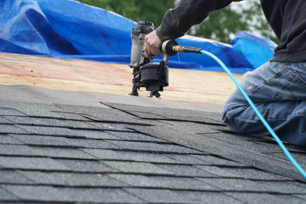 Best Metal Roofing Contractor  in Rhinelander, WI